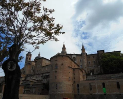 Urbino