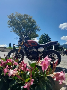 TRIUMPH SCRAMBLER 400 X