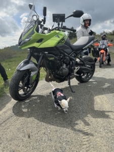 TRIUMPH TIGER SPORT 660